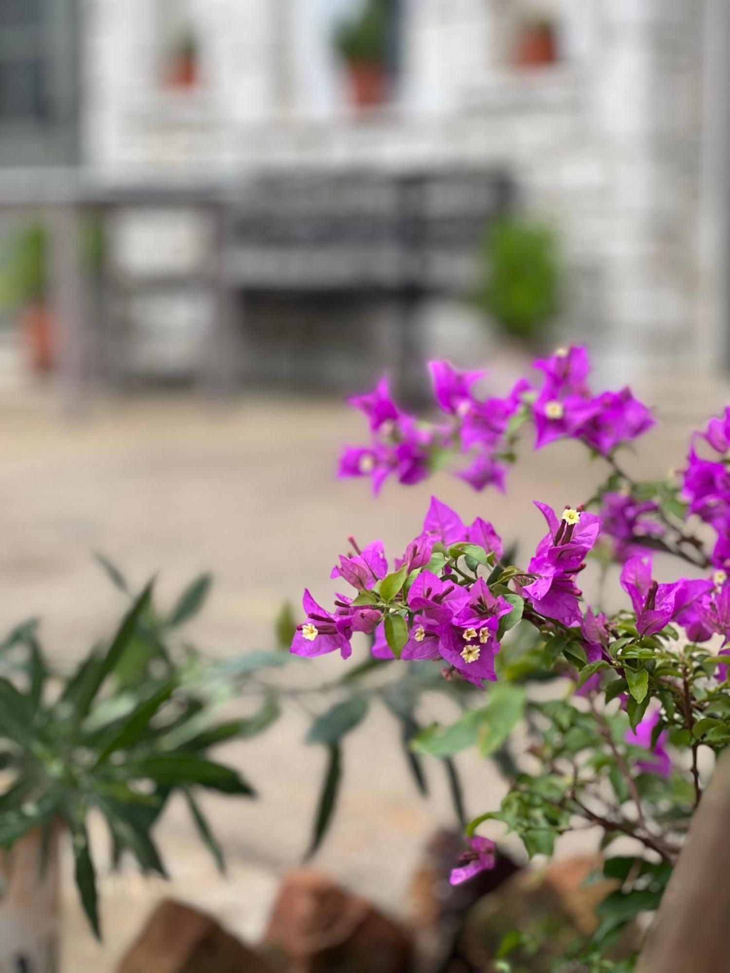 Elea Guesthouse Himare Bagian luar foto
