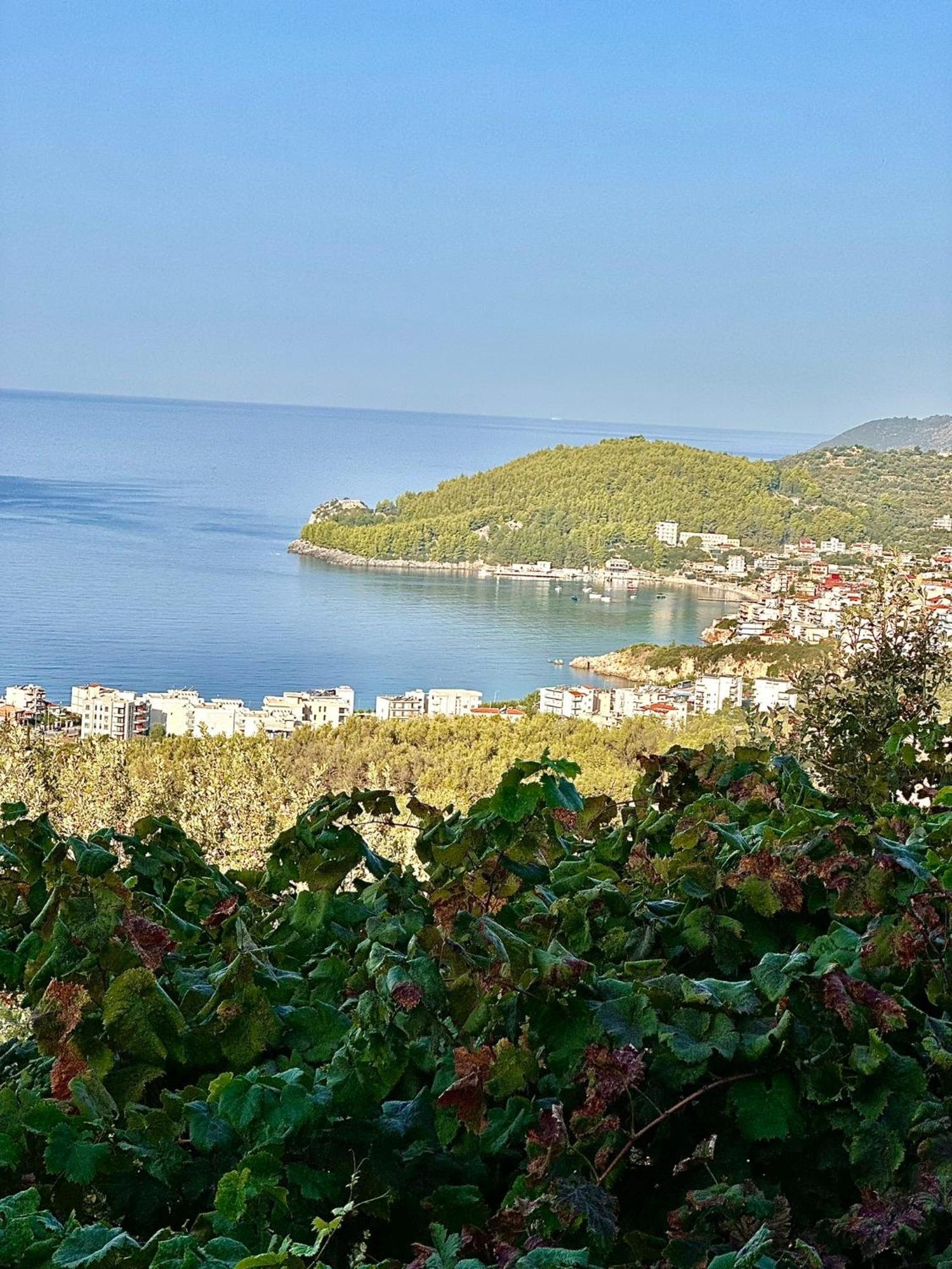 Elea Guesthouse Himare Bagian luar foto