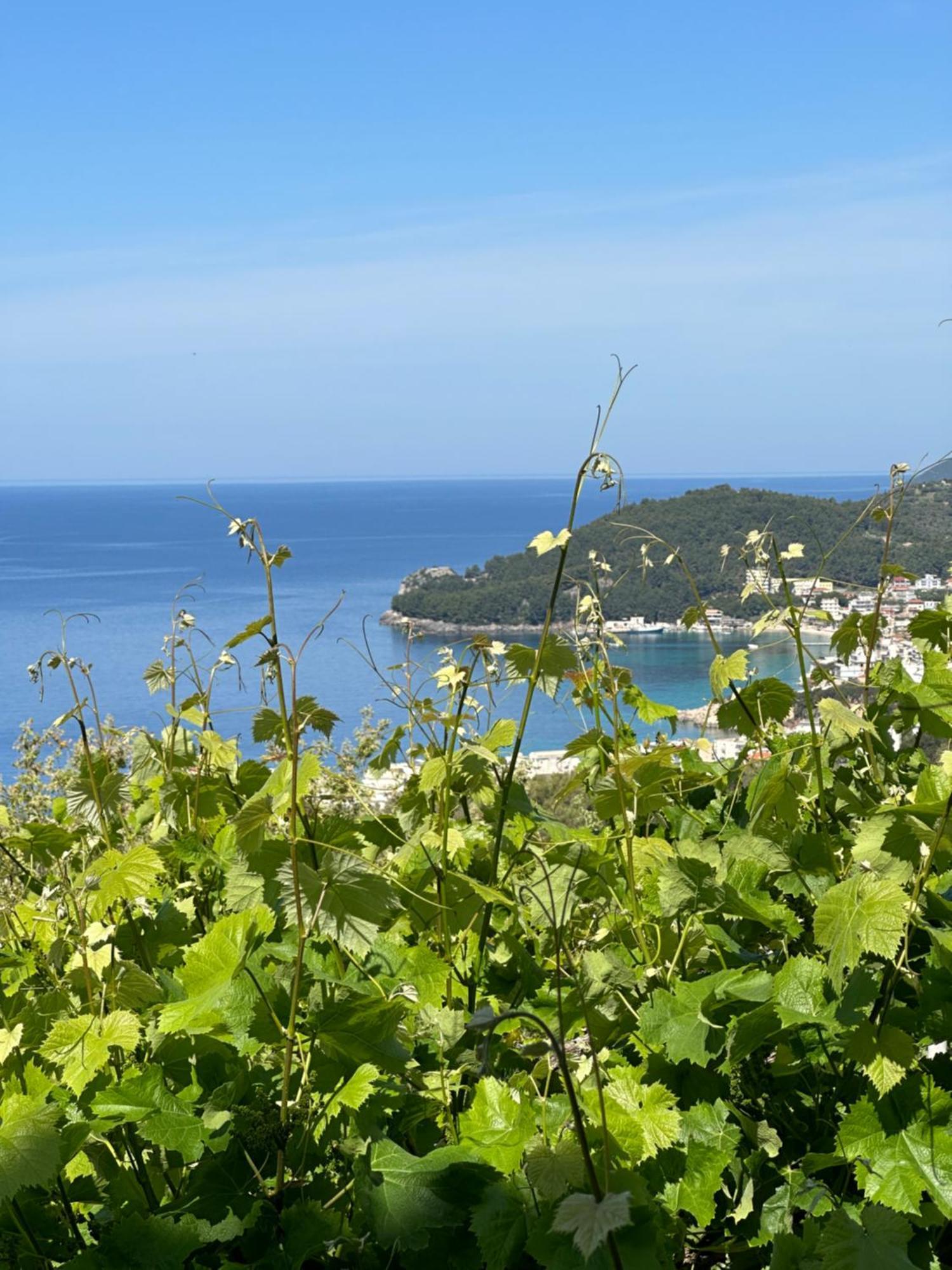 Elea Guesthouse Himare Bagian luar foto